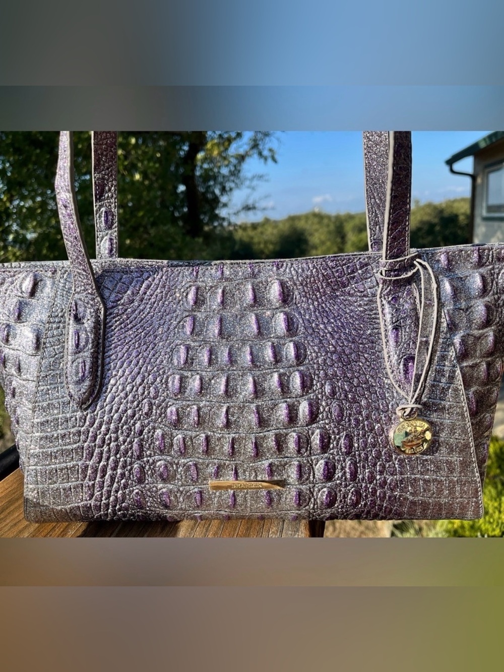 NWT Brahmin Tonya in Glitter Purple Shoulder Bag